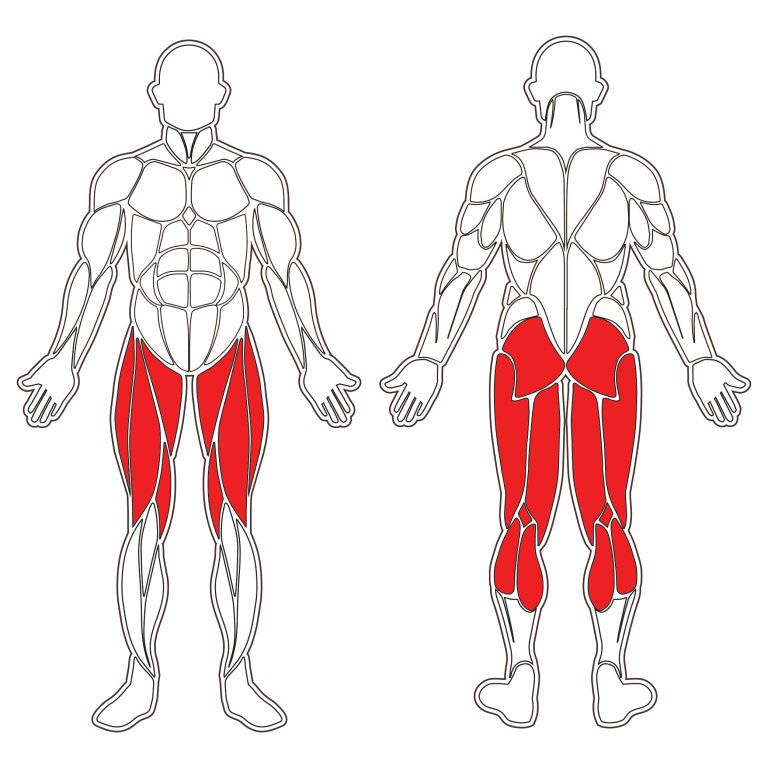 Travail sur presse quadriceps