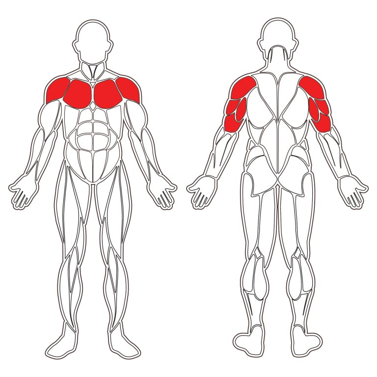 Travail des pompes sur barre